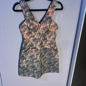 🌷2/30🌷Women’s Topshop size small pink and silver flame dress